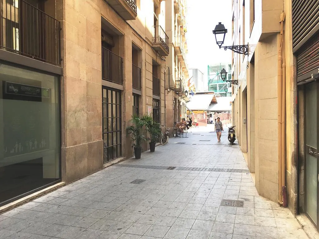 Gasthuis Hostal La Palmera Barcelona